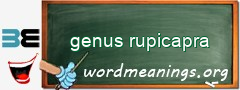 WordMeaning blackboard for genus rupicapra